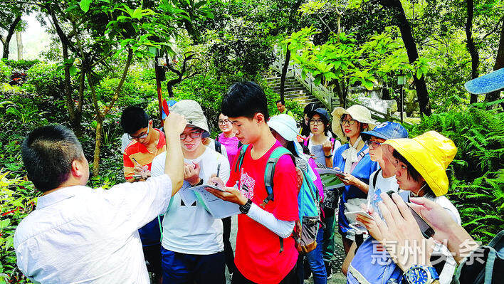 考古夏令营罗浮山研学中草药